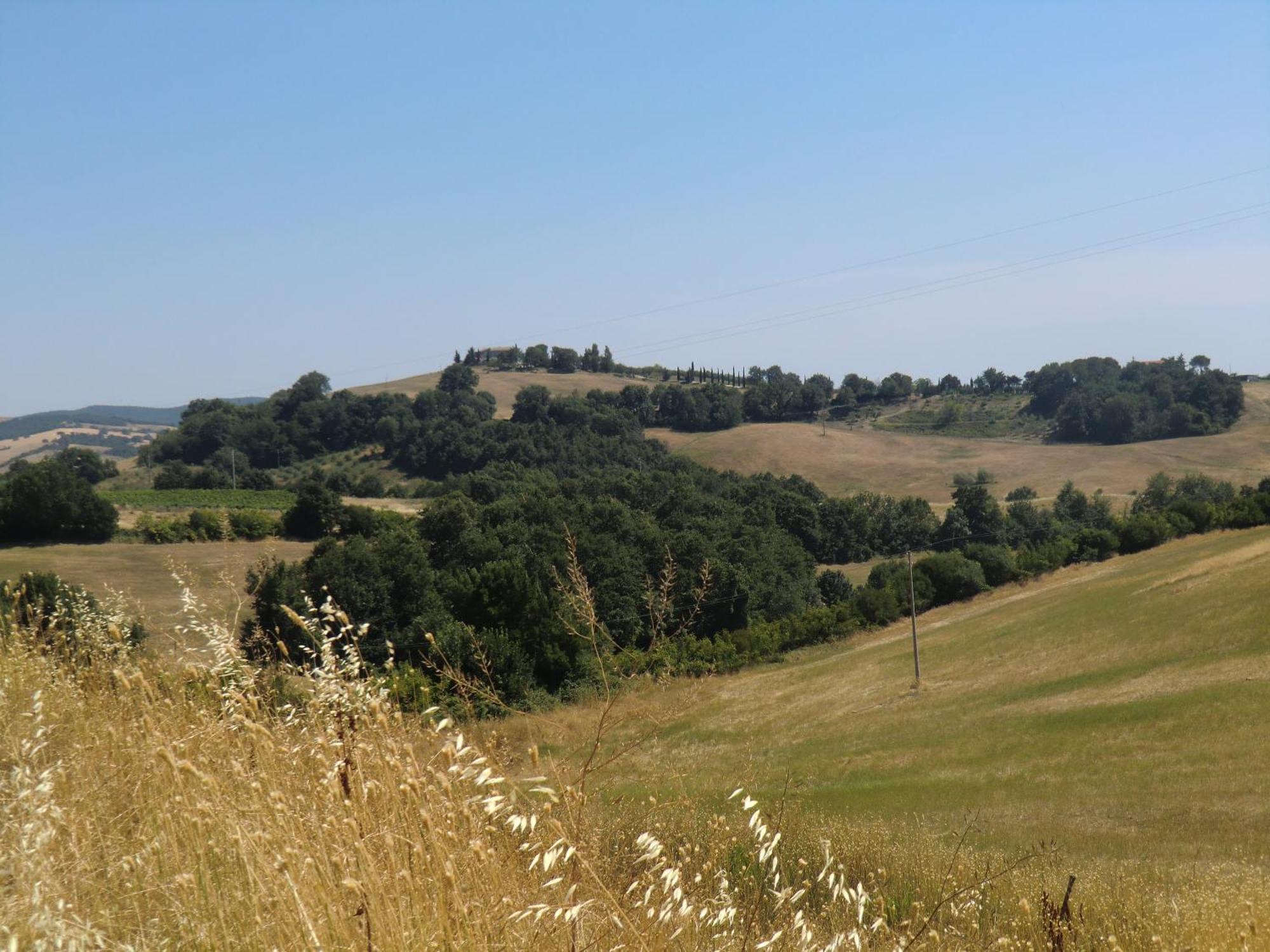 Gasthaus Agriturismo Cavallin Del Bufalo Manciano Exterior foto